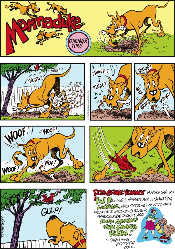 marmaduke